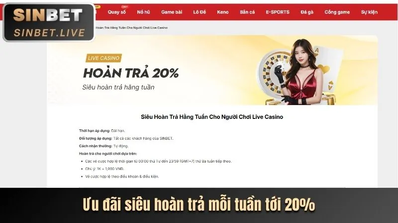 Chương trình VIP Club độc quyền